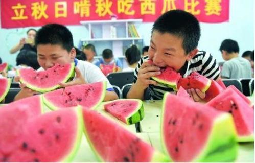 长故事吃瓜,一场跨越时空的吃瓜盛宴