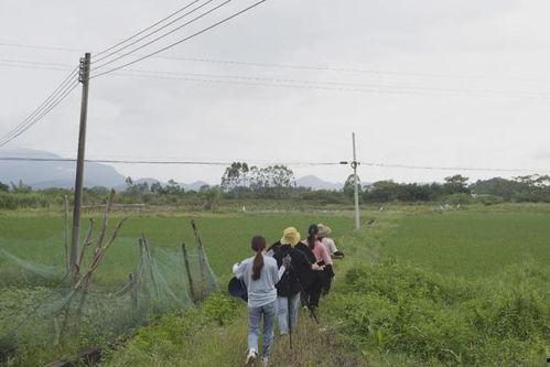 广元网红农村小院,诗意田园生活新体验