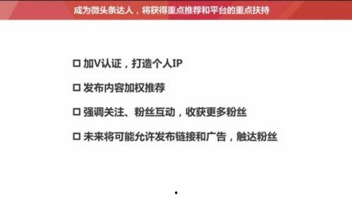 西安头条号阅读量,揭秘热门话题背后的故事