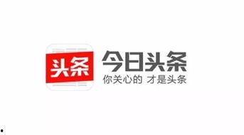 头条作者图标在哪里,轻松打造个性化形象