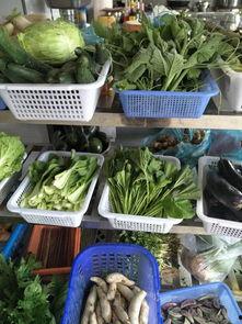 湖南衡东吃瓜事件,一场网络舆论的风波与反思