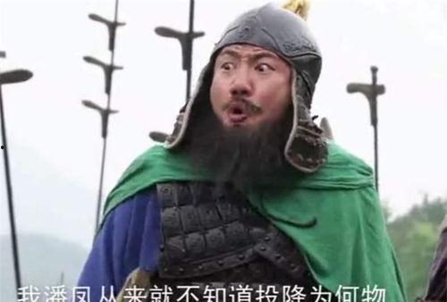 三国网红上将,网红上将的风采与传奇