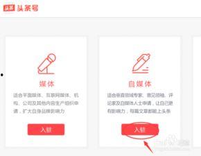 今日头条最好抽奖平台是,揭秘热门活动背后的秘密