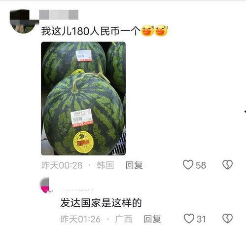梦子吃瓜,揭秘娱乐圈背后的秘密与真相