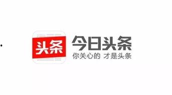 阜阳今日新闻头条图标,聚焦今日热点事件