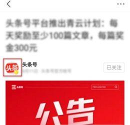 如何看待头条私信,社交互动的新趋势与挑战
