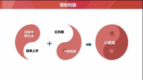 微头条有哪些培训,热门培训课程全解析