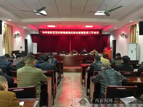 广西荔浦新闻头条,探寻荔浦特色文化，共赏乡村振兴新画卷