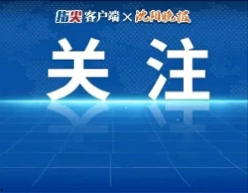 头条创作重在质还是量,质量与数量并重，打造优质内容新篇章