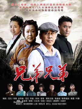 兄弟兄弟电视剧全集在线观看,重温家族恩怨情仇的感人篇章